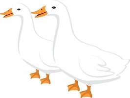 Two ducks ,illustration, vector on white background.