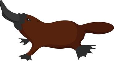 Platypus, illustration, vector on white background