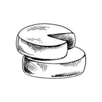 Gouda cheese wheels. Ink sketch isolated on white background. Hand drawn vector illustration. Vintage style stroke drawing.