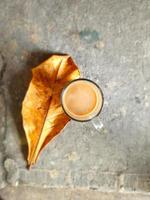Chocolate coffee on dry leaves photo