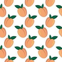 Orange peaches ,seamless pattern on white background. vector