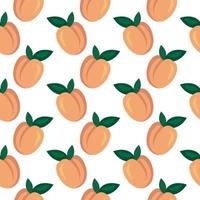 Orange peaches ,seamless pattern on white background. vector