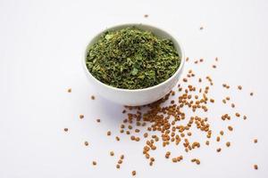 Kasuri Methi or Kasoori Methi or dried fenugreek leaves also known as Trigonella Foenum Graecum photo