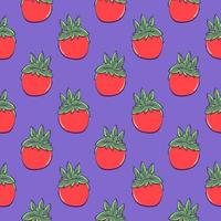 Little red tomato , seamless pattern on a purple background. vector