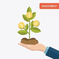 Businessman holds saplings of money tree with gold coins, soil, ground. Investment, wealth vector