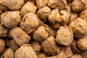 Glycine max or Soya bean or uncooked soybean chunks. Served in a bowl or as a Pile. selective focus photo