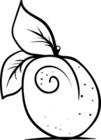 Apricot sketch, illustration, vector on white background.