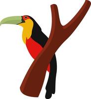 Toucan on a branch, illustration, vector on white background