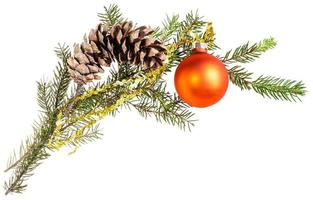 branch of spruce tree with cone and orange ball photo