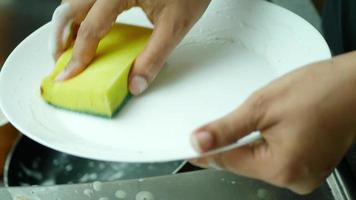 Washing a plate with a yellow dish sponge video