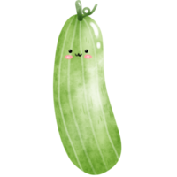 kawaii cucumber in watercolor png