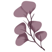 Home and Wedding Decor with Plant png