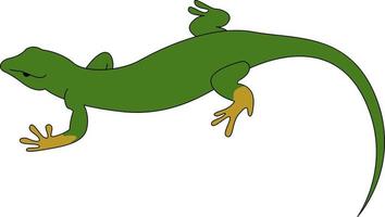 Green lizard, illustration, vector on white background.