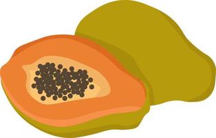 Fresh papaya, illustration, vector on white background