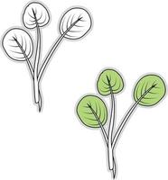 Fresh watercress, illustration, vector on white background.