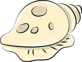 Shell drawing, illustration, vector on white background