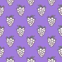 White grapes , seamless pattern on a purple background. vector