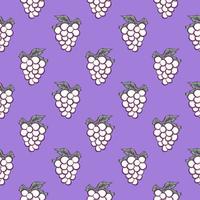 White grapes , seamless pattern on a purple background. vector