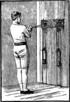 ilustración vintage de pesas en el pecho. vector