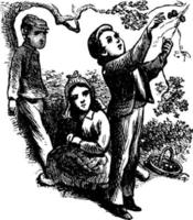 niños y una niña en el bosque, ilustración vintage. vector