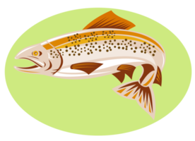 saut de poisson truite png