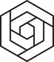 Abstract hexagon logo illustration in trendy and minimal style png