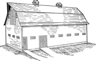 Cattle and Horse Barn, vintage illustration. vector