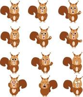 Squirrel icon set, illustration, vector on a white background.