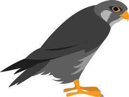 Predatory bird, illustration, vector on white background