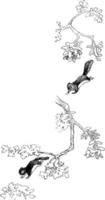 Squirrel jumping in tree in this frame, vintage engraving. vector