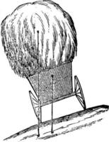 Center of Gravity of a Load of Hay, vintage illustration. vector