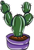 Beautiful cactus, illustration, vector on white background.