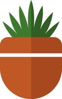 Succulent in a pot, illustration, vector on white background.
