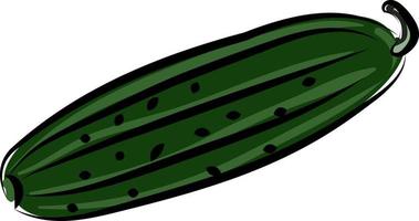 Fresh cucumber, illustration, vector on white background.