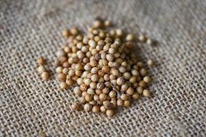 coriander seeds dry spices and herbs dood ingredients on the sack photo