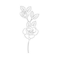 Line art of Rose vector illustration