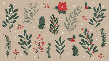 Christmas set of winter plants, branches, Christmas trees, poinsettias, red berries, rowanberries. Vector