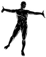 maschio umano anatomia in piedi png