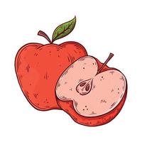 Hand drawn red apple collection. Fresh fruit isolated vector illustration.