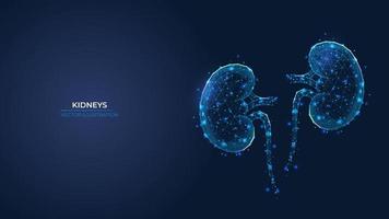 Futuristic abstract symbol of the human kidney. Concept treatment of pyelonephritis and urolithiasis. Low poly geometric 3d wallpaper background vector illustration.