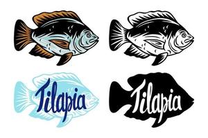 Vintage Tilapia fish silhouette lettering retro isolated vector illustration on a white background.