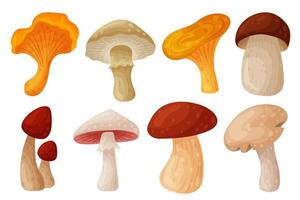 Set of colorful fresh autumn wild forest mushrooms. Cartoon flat style silhouettes icons. Great autumn design concept elements. Vector illustration isolated on white background.