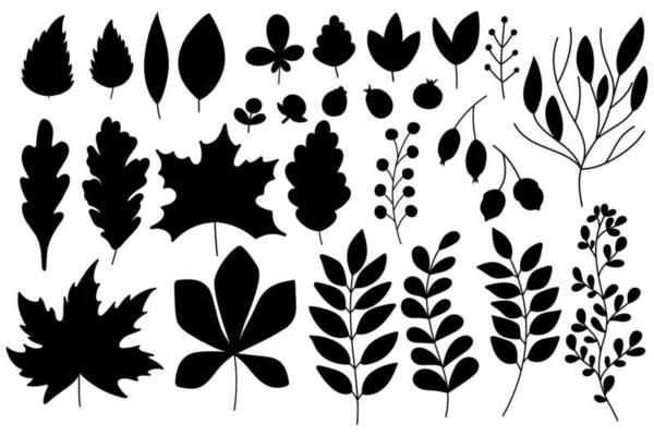 Set of autumn silhouettes of leaves and berries. Isolated on white background.