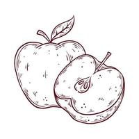 manzana dibujada a mano. ilustración vectorial aislada de fruta fresca. vector
