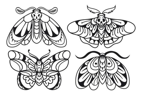 Moth hand drawing old school tattoo. Design element for poster, card, banner.