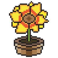 Sunflower in pot. Pixel art vector icon illustration.