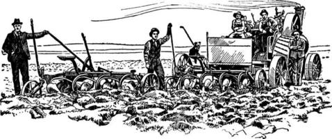 Gang plow, vintage illustration. vector