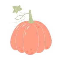 Pastel boho pumpkin isolated on white background. Thanksgiving Day, Harvest festival, Halloween symbol. vector