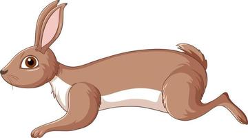 lindo personaje de dibujos animados de conejo marrón vector