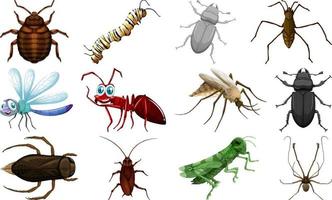 colección de diferentes tipos de insectos vector